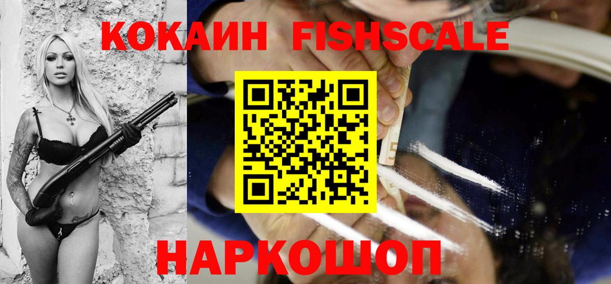 где купить наркотик  COCAIN Fish Scale  Котовск  Кокаин Колумбийский 
