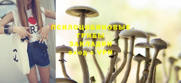 тгк Липки