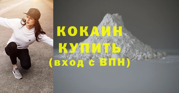 скорость Ладушкин
