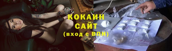 прущие крисы Магадан