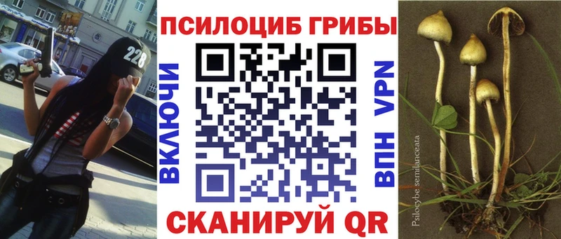 Галлюциногенные грибы Magic Shrooms даркнет сайт MEGA сайт Котовск