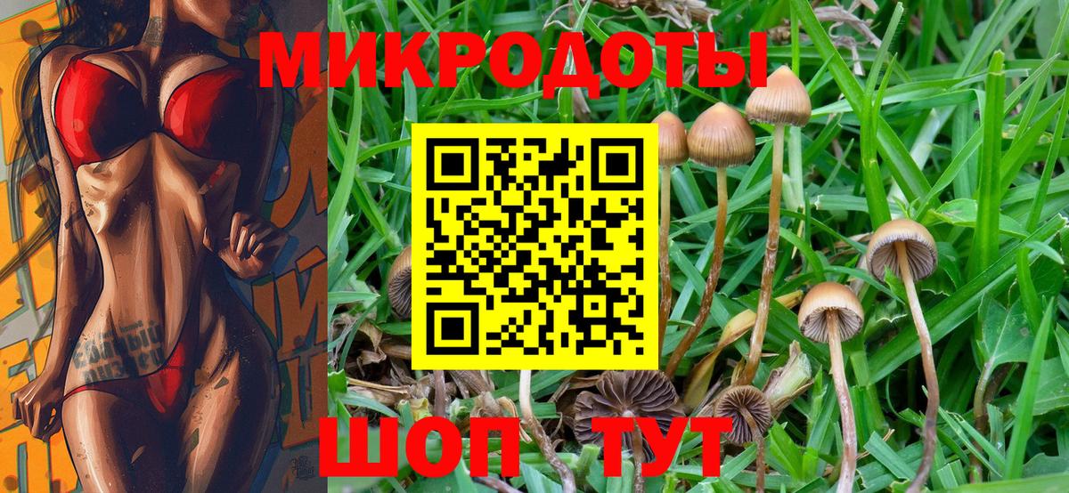 Галлюциногенные грибы мицелий Котовск