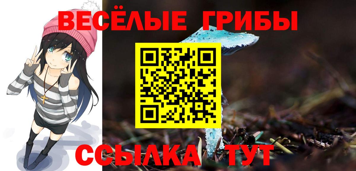 Галлюциногенные грибы ЛСД  Галлюциногенные грибы мухоморы  Вход с VPN  Котовск 